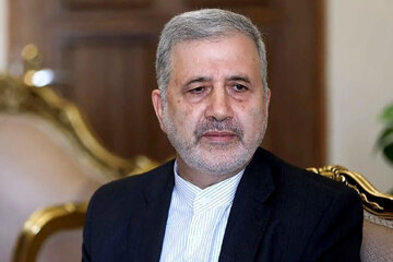 برخی از امور قابل گفتن نیست/ واکنش سفیر ایران به آزادی قاسمیان در عربستان