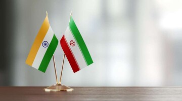 بقائی: پیوندهای دوستی ایران و هند ریشههای عمیق تاریخی دارد