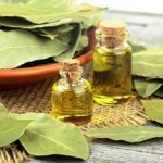 خواص درمانی و شگفت انگیز برگ یک گیاه