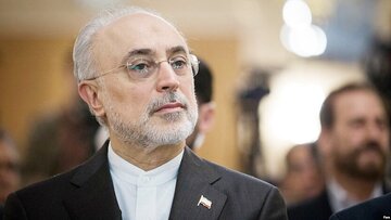 صالحی: با ناترازی های زیادی مواجه هستیم، به ناترازی در عقل هم توجه کنیم/ به آینده کشورمان بسیار امیدوارم/ اروپا که یک روزه اروپا نشد