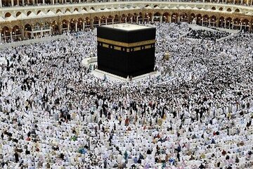 واکنش رئیس سازمان حج و زیارت به بازداشت قاسمیان در سفر حج
