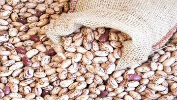 اختلاف قیمت ۲۰۰ هزار تومانی لوبیا چیتی در بازار و فروشگاه‌/ یک بسته بندی ۲۰۰ هزار تومان آب می‌خورد