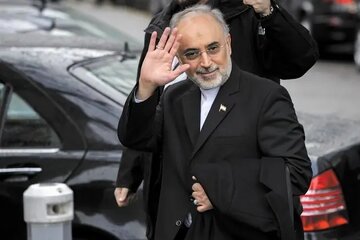 از روس‌ها تقاضا کردیم اجازه دهند سوخت را در راکتور بوشهر بگذاریم تا تاب‌آوری‌اش را بسنجیم، اما موفق نشدیم