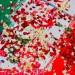 تصویر شهیدان شادمانی و رشید در کنار رهبر انقلاب