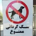 سگ‌گردانی در این استان ممنوع شد