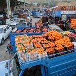 سیب‌زمینی و گوجه‌فرنگی به شدت ارزان شد/ قیمت جدید