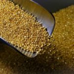 طلا به بالاترین سطح قیمتی رسید/ خریداران طلا حتما بخوانند