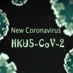 فقط یک جهش کوچک تا «اپیدمی»؛ کروناویروسِ  HKU۵-CoV۲ در کمین/ باز هم پای خفاش‌ها در میان است؟