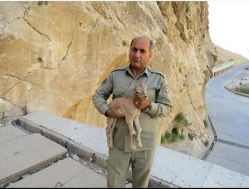 قاتل محیط‌بان بهبهانی دستگیر شد