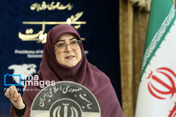 مهاجرانی: به برنامه هسته ای ایران خود ادامه می دهیم/ رابطه ما با آژانس شکل جدیدی به خود می گیرد