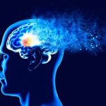 چرا برخی از افراد در میانسالی به زوال عقل مبتلا می‌شوند؟