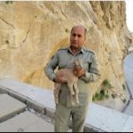 یک محیط‌بان شهید شد/ عکس