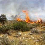 آتش‌سوزی گسترده در سنندج/ جزئیات