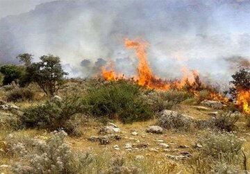 آتش‌سوزی گسترده در سنندج/ جزئیات