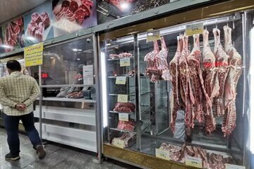 انتقاد رئیس اتحادیه دام سبک از سیاست‌های حمایتی بازار گوشت
