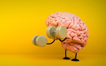 این ترکیب غذایی سبب تقویت مغز می‌شود