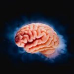 با یک آزمایش خون بفهمید چقدر تا مرگ فاصله دارید