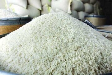 تبدیل برنج ساده به بمب فیبر و پروتئین/ ترفند چیست؟