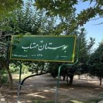 تبدیل زمین متروکه یک پارک به مجموعه ورزشی/ توضیح شهرداری