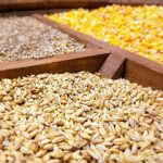 ثبات و آرامش تولید در بازار گوشت و مرغ وجود دارد
