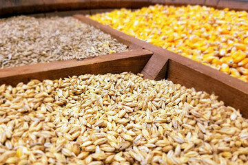 ثبات و آرامش تولید در بازار گوشت و مرغ وجود دارد