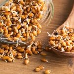 خوراکی که سبب افزایش طول عمر می‌شود