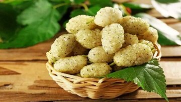 خوردن این میوه برابر است با یک داروی ضدافسردگی!