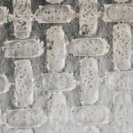 ساخت ربات‌ با کاغذ برنج؛ فناوری امیدبخش در کشاورزی و احیای جنگل