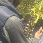 عکس | آیفون ۱۷ پرو برای اولین بار دیده شد