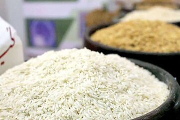 پیش‌بینی کاهش قیمت برنج با ورود محصول امسال و وارداتی در آینده نزدیک
