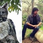 چنگال خوفناک عقاب هارپی / تصویری که کاربران اینترنت را شوکه کرد