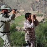 کشف لاشه قوچ وحشی در ارتفاعات این شهر