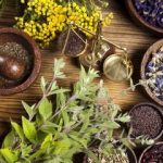 ۳ گیاه آرام‌بخش معده را بشناسید