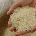 ۹۵ درصد از توزیع برنج توسط واسطه‌ها انجام می‌شود/ برنج ایرانی دیگر به زیر ۱۰۰ تومان نمی‌رسد