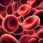 تمیز کردن خون با مصرف این میوه تابستانی