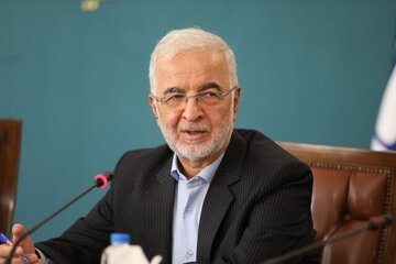 توضیحات وزیر کشور از آخرین وضعیت بازگرداندن مهاجران افغانستانی به کشورشان/ چند میلیون مهاجر بازگشتند؟