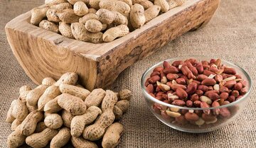 خوردن روزانه این مغز خوشمزه روند پیری را کند می‌کند