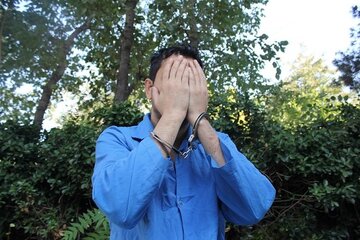 سارق حرفه‌ای: مثل گربه از تیر بالا می‌رفتم و چراغ راهنمایی را می‌دزدیدم / وضع مالی‌ام خوب است، برای سرگرمی دزدی می‌کردم