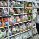 قیمت برنج خارجی امروز ۲۴ مرداد ۱۴۰۴ / ارزان‌ترین برنج پاکستانی کیلویی چند؟ + جدول