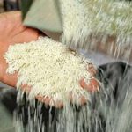 قیمت برنج در میادین و بازارهای میوه و تره‌بار شهردار ی تهران اعلام شد