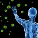 مصرف این گیاه سبب تقویت سیستم ایمنی بدن می‌شود
