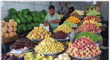 میوه ارزان می شود