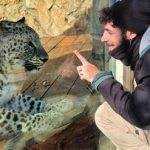 پلنگ ایرانی، یک اسرائیلی را به درک فرستاد/عکس