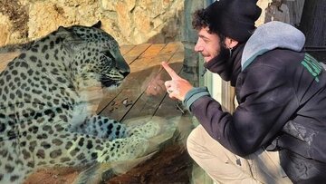 پلنگ ایرانی، یک اسرائیلی را به درک فرستاد/عکس