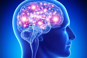 چند خوراکی مفید برای تقویت مغز و حافظه