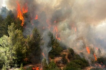 آتش‌سوزی گسترده در استان فارس/ جزئیات