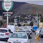 ایجاد تصادفات ساختگی برای فروختن زیتون/ ماجرا چه بود؟