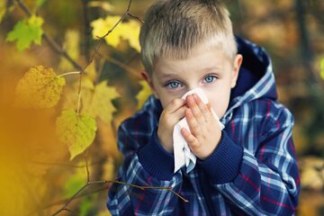 این بدترین نوع پاییز است/ آیا فصل خزان برای جسم و روان ما آسیب‌زاست؟
