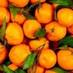 این میوه‌ خوشمزه پاییزی درمان چند بیماری است