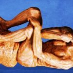 با برندگان جایزه ایگ نوبل ۲۰۲۵ آشنا شوید
